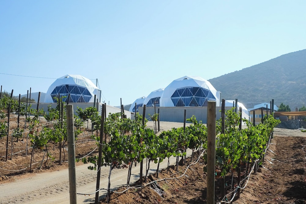 Luxury Tent, Vineyard View photo 1