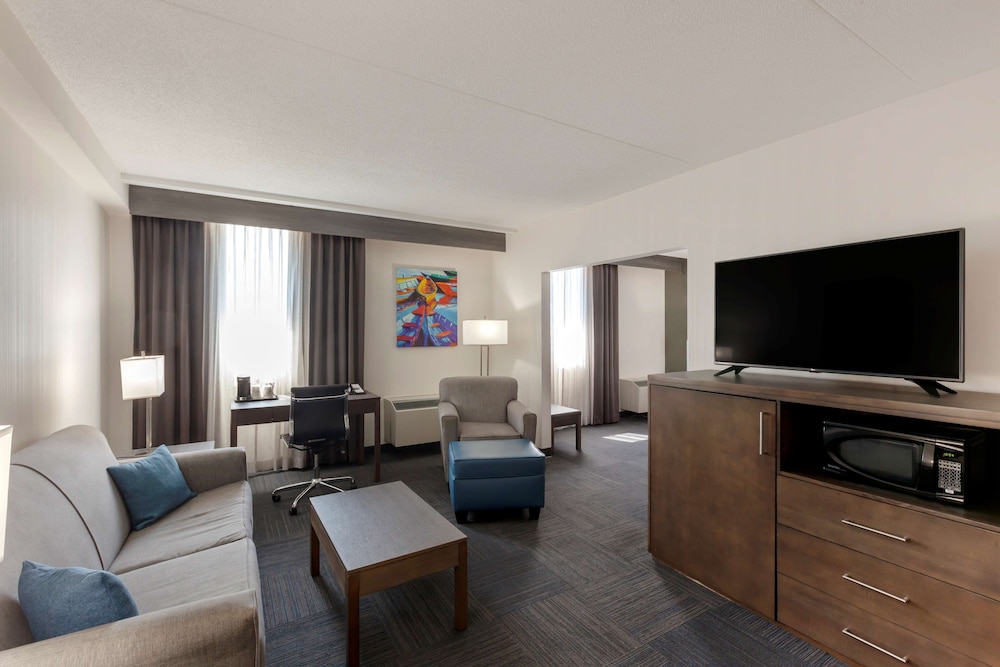 Suite, 1 King Bed, Non Smoking, Kitchenette (with Sofabed)