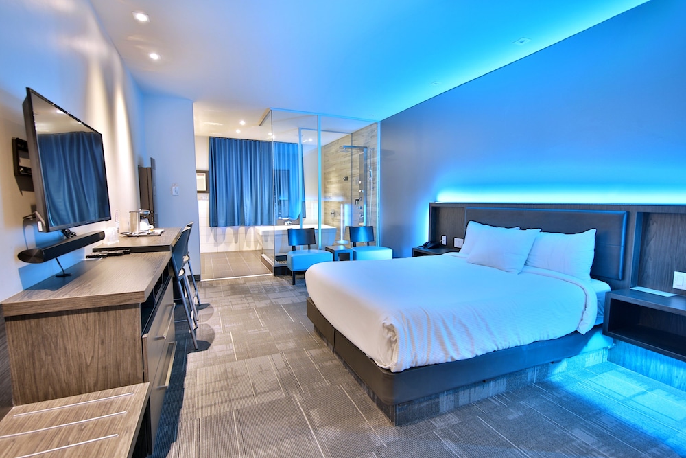 Suite, 1 Queen Bed photo 2