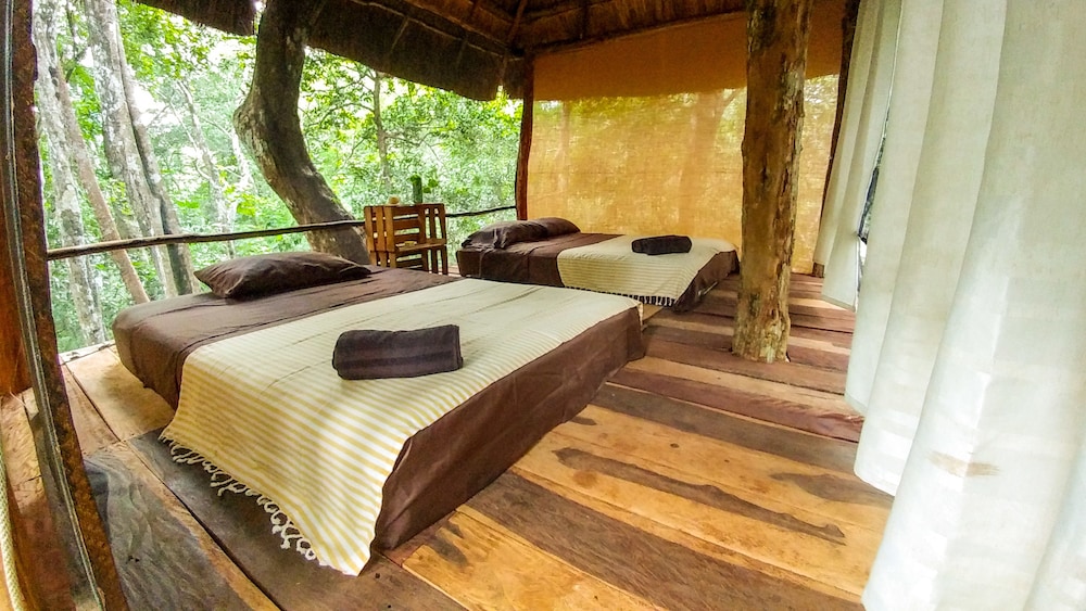 Tree House, 2 Double Beds (Zacjabin) photo 1