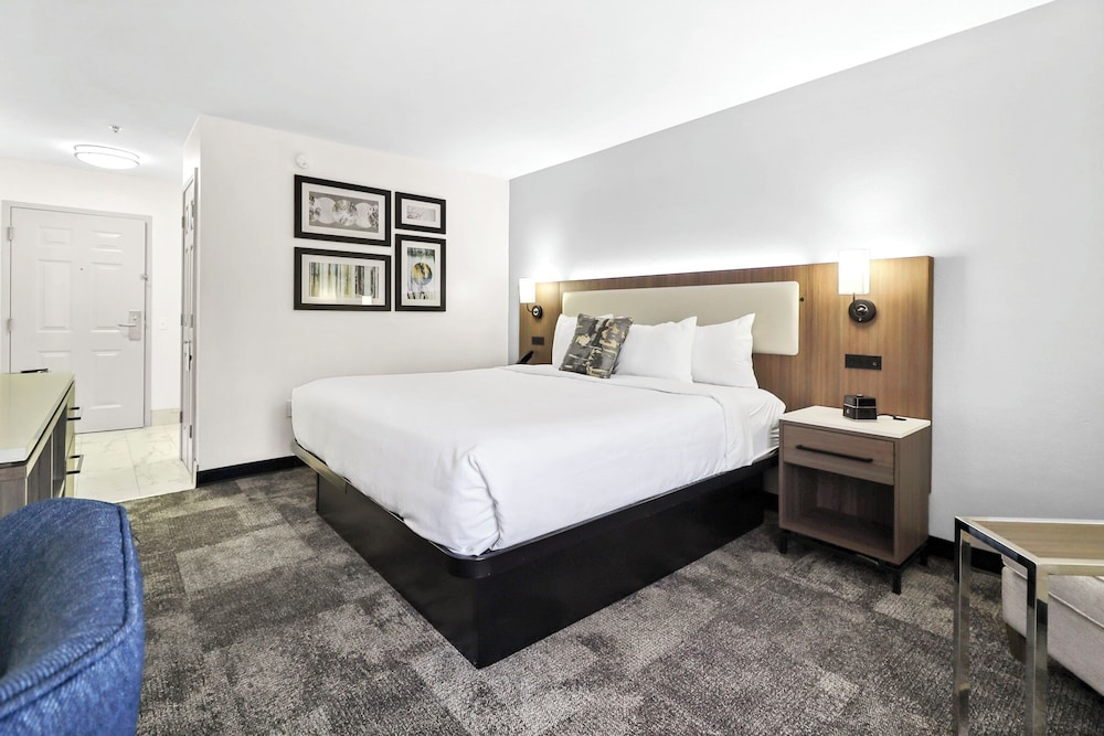 Room, 1 King Bed, Non Smoking - Photo 4
