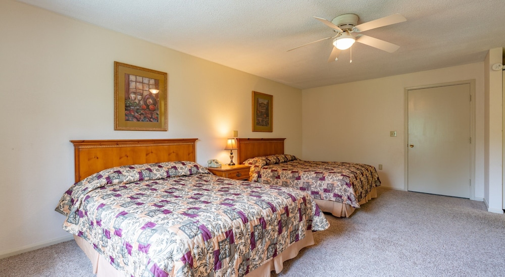 Standard Suite, 1 Bedroom, Kitchenette