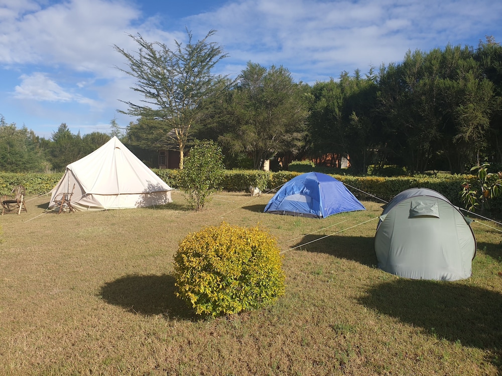 Basic Tent photo 1