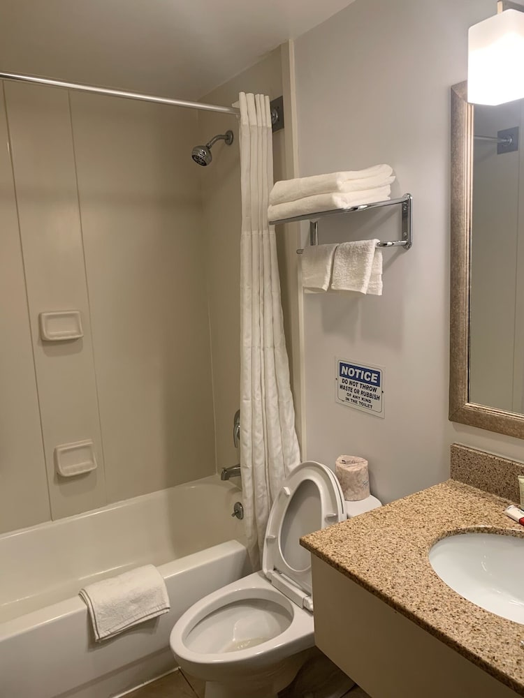 Business Double or Twin Room photo 2