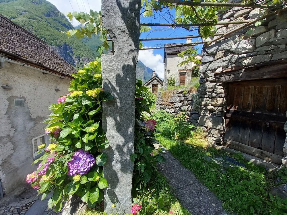 Shared Dormitory, 1 Bedroom, Garden View photo 2