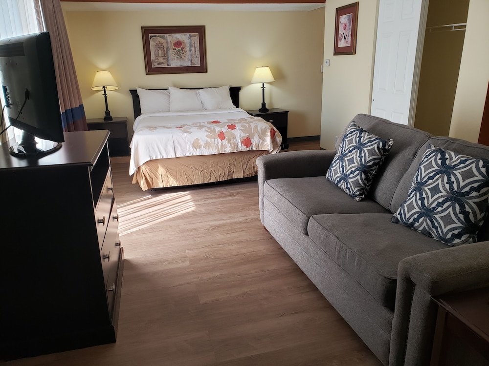 Studio Suite, 1 Queen Bed with Sofa bed, Non Smoking photo 1