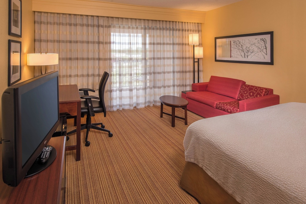 Room, 1 King Bed with Sofa bed (Hearing Accessible)