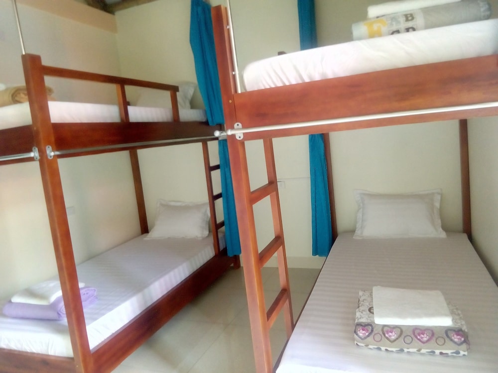Comfort Shared Dormitory photo 3