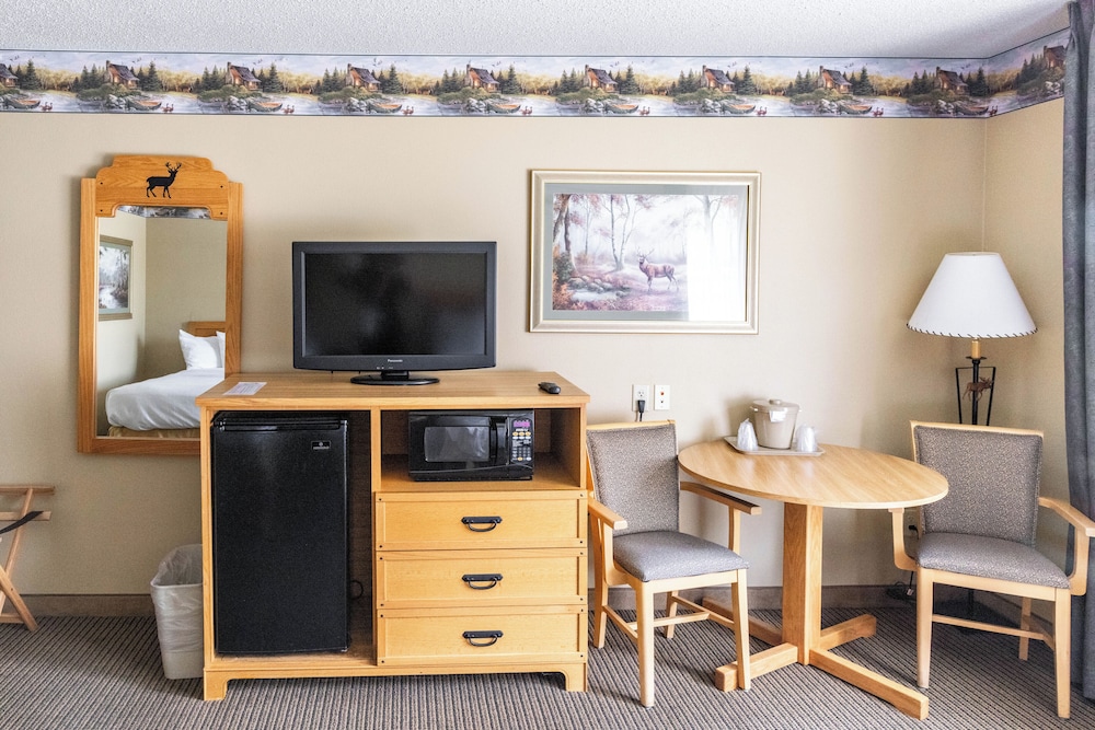 Family Studio Suite, Multiple Beds photo 2
