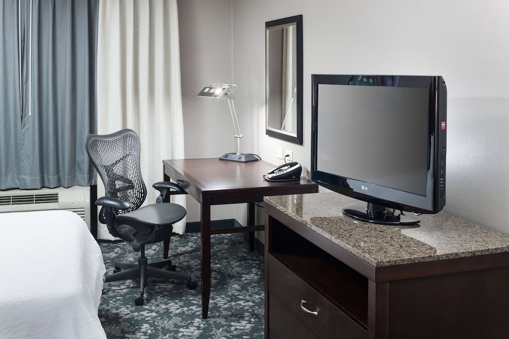Suite, 1 King Bed - Photo 4