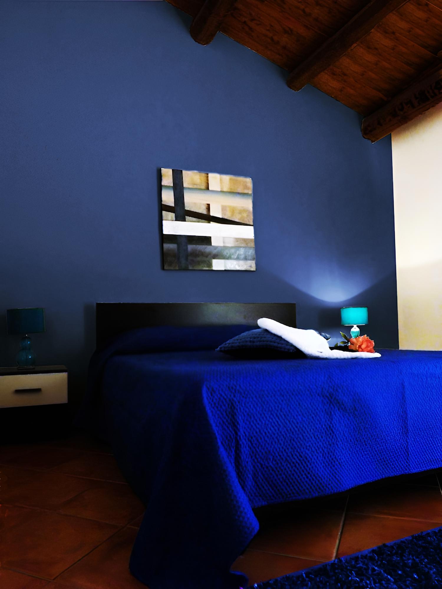 Double Room, Vineyard View photo 3