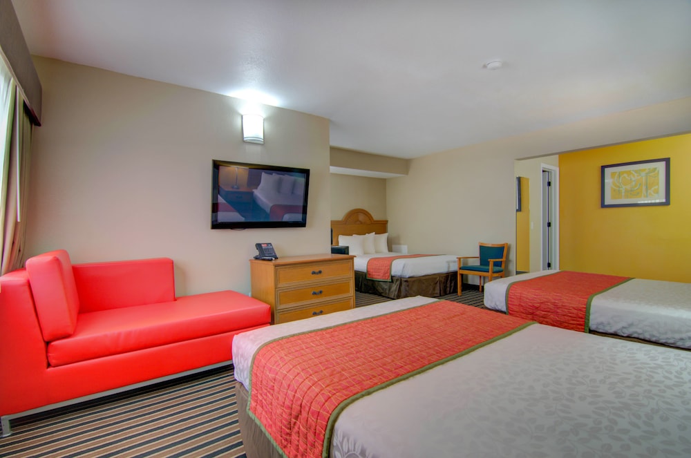 Deluxe Studio Suite, Triple beds photo 1