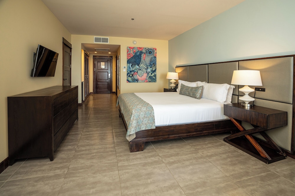 Room, 1 King Bed, Mountain View