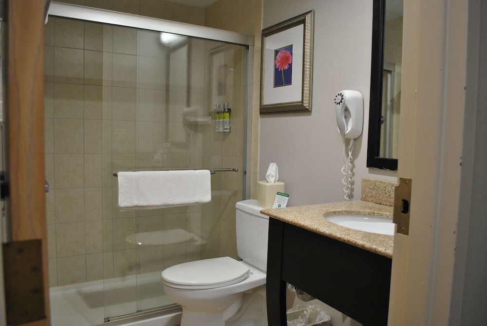 Standard Room, 1 King Bed, Non Smoking, Refrigerator & Microwave - Photo 3