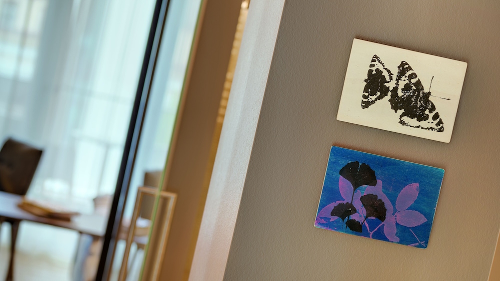 Studio (Single Use) photo 1