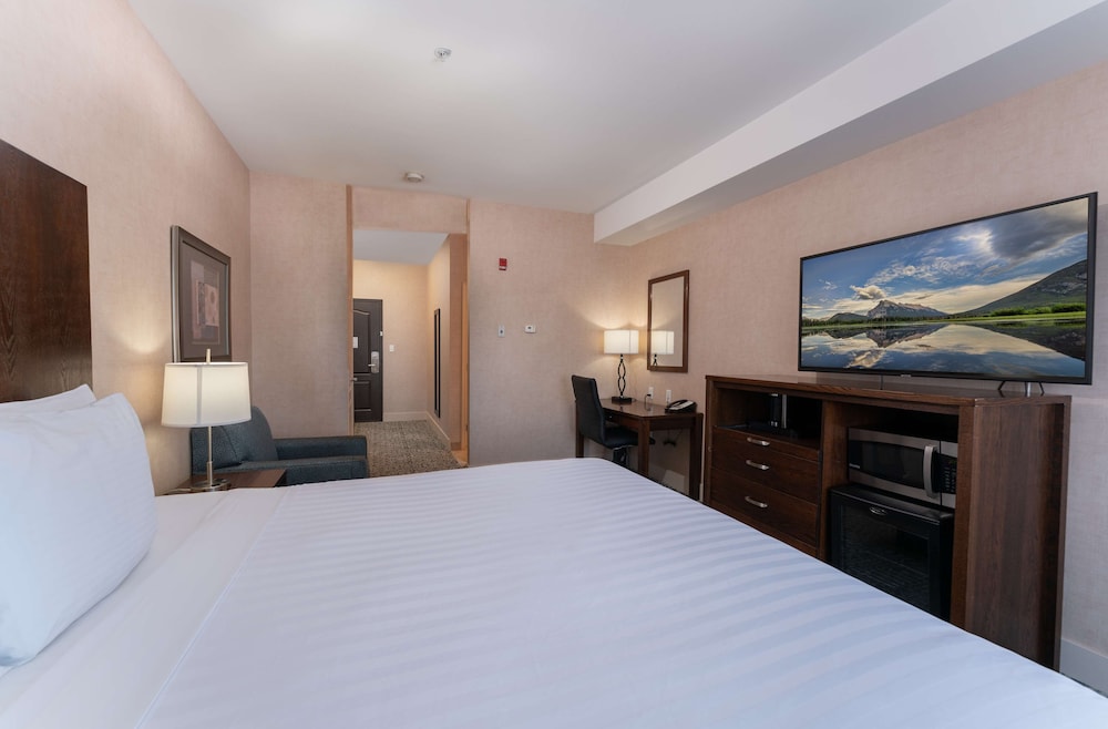 Deluxe Room, 1 King Bed, Non Smoking photo 2