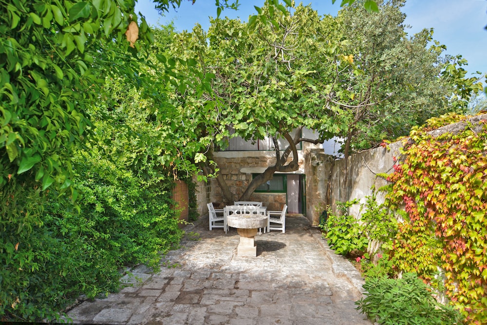 Apartment (Il Fico) photo 1