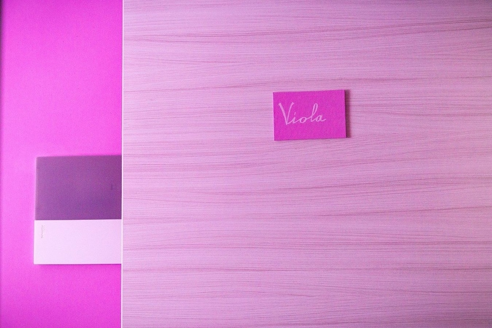 Double Room (Viola) photo 1