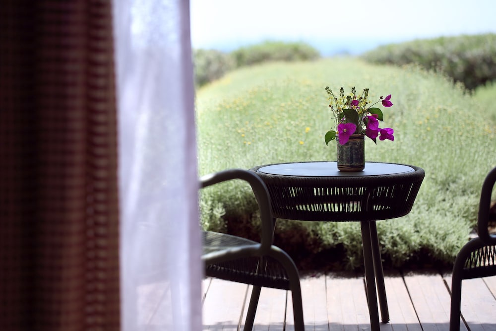 Double Room, Terrace photo 1
