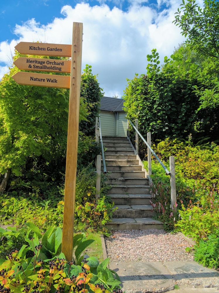 Signature Cabin, Garden View