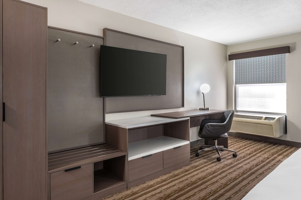 Standard Room, 1 King Bed, Accessible, Refrigerator & Microwave (with Sofabed) photo 2