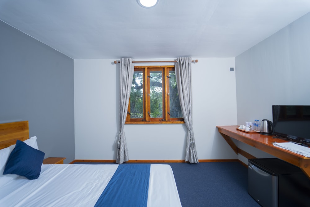 Deluxe Double or Twin Room photo 3