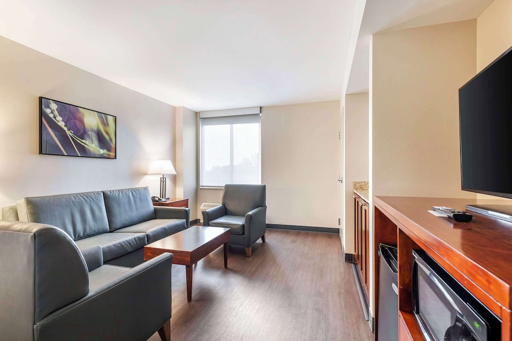 Suite, 1 King Bed with Sofa bed, Accessible, Non Smoking - Photo 4