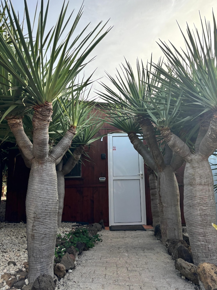 Cabaña C7