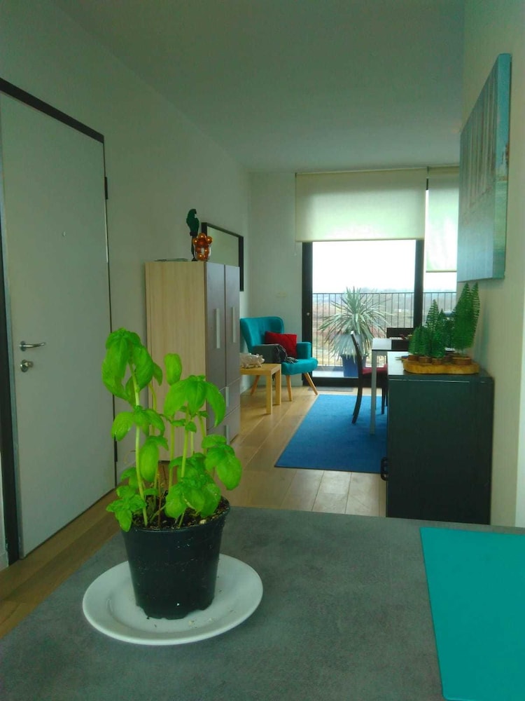 Fully Equipped Sunny Apartment, Zdjęcie 7