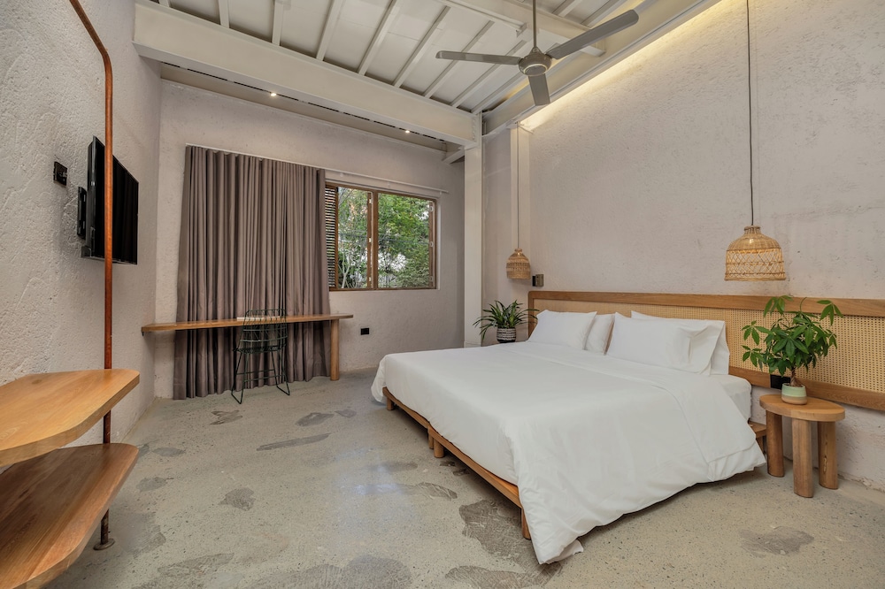 Standard Studio Suite (301)