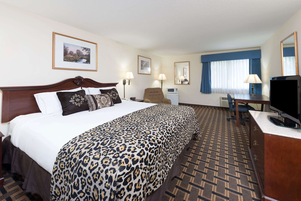 Room, 1 King Bed, Non Smoking - Photo 1