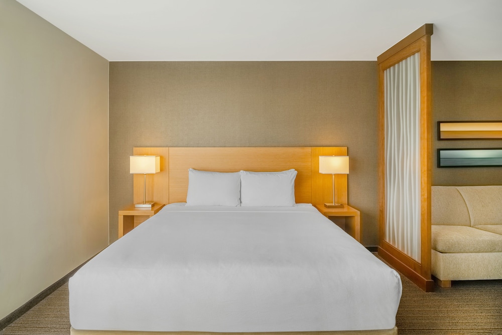 Standard Room, 1 King Bed With Sofa Bed