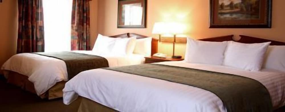 Standard Room, 1 King Bed, Non Smoking photo 3