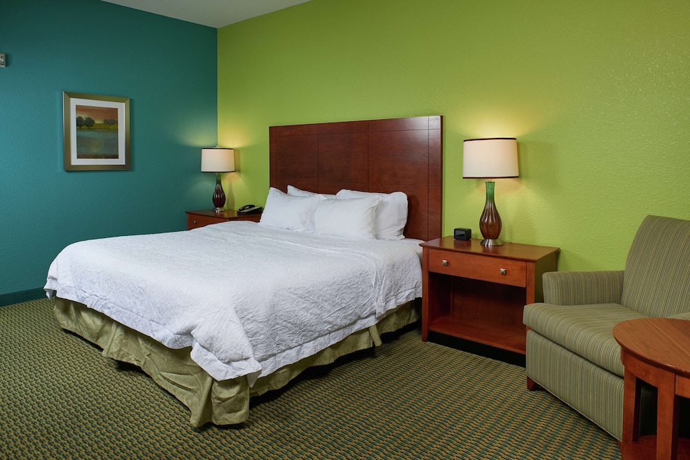 Room, 1 King Bed, Accessible, Non Smoking - Photo 1