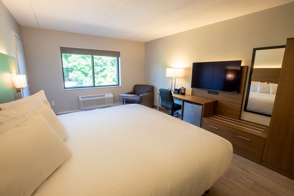 Standard Single Room, 1 King Bed, Non Smoking