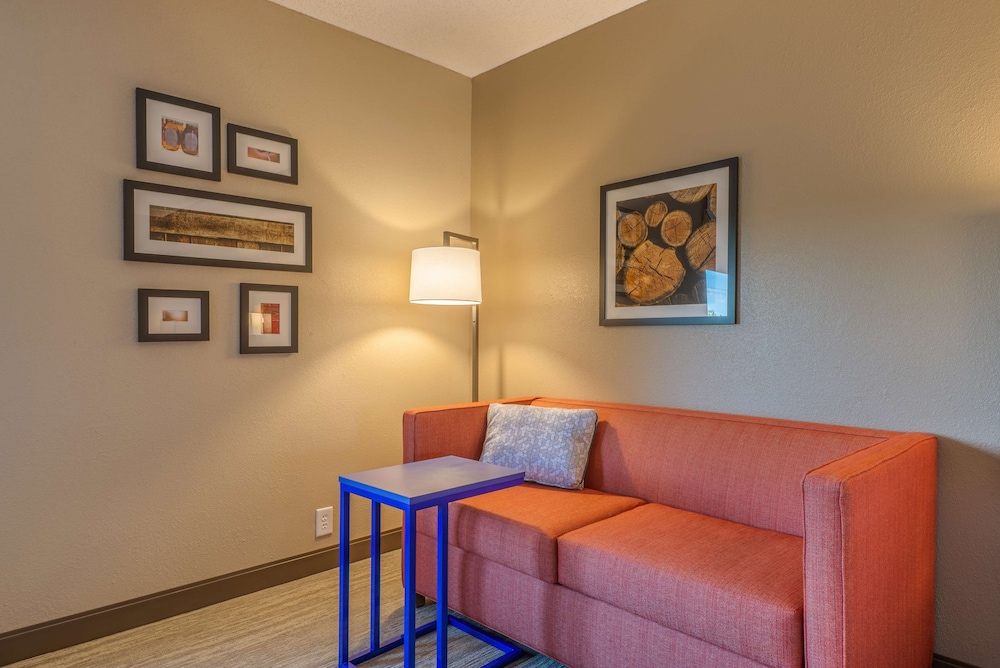 Studio, 1 King Bed, Accessible (Mobility & Hearing, Roll-in Shower) - Photo 1