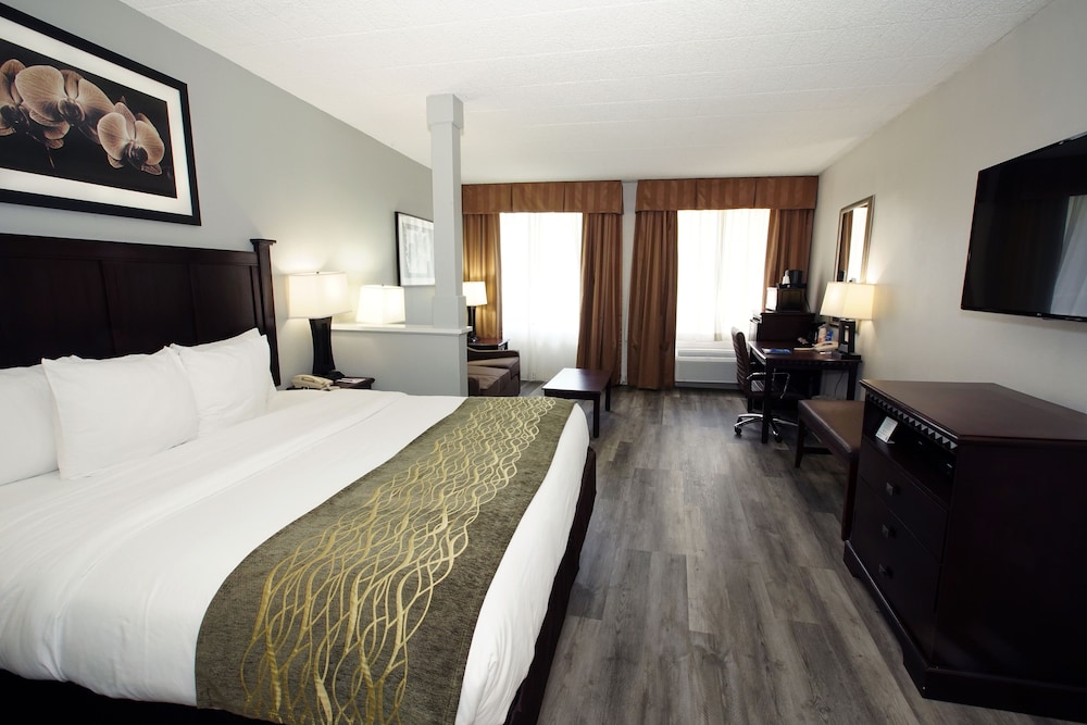 Suite, 1 King Bed, Non Smoking, Refrigerator & Microwave (Larger Room;with Sofabed) - Photo 7