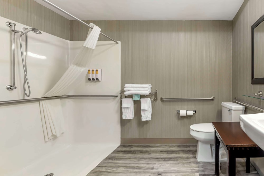 Suite, 1 King Bed, Accessible, Refrigerator & Microwave (with Sofabed) - Photo 4