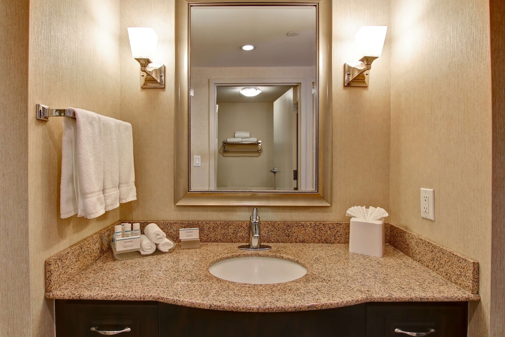 Suite, 1 Bedroom, Non Smoking (1 King Bed and Pullout Sofa Bed) - Photo 4