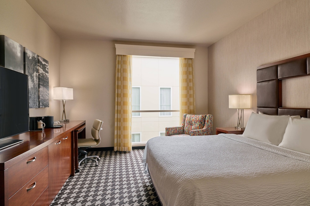 Standard Room, 1 King Bed (Mobility Accessible, Roll-In Shower) photo 1