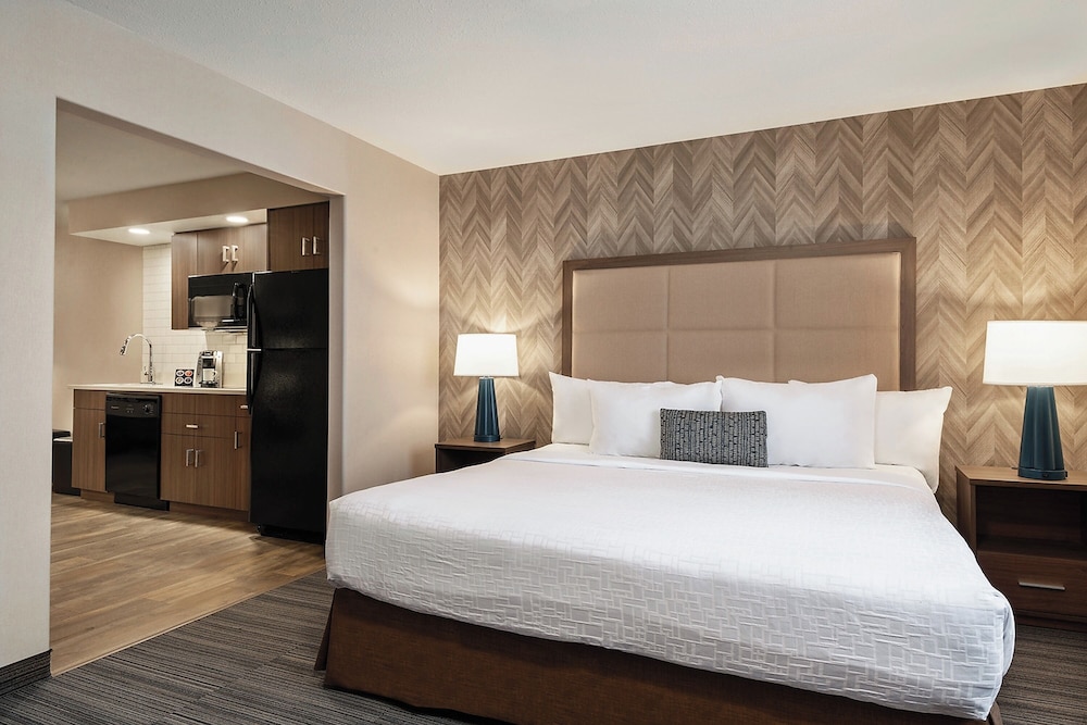 Deluxe Studio Suite, 1 King Bed with Sofa bed, Kitchen photo 1