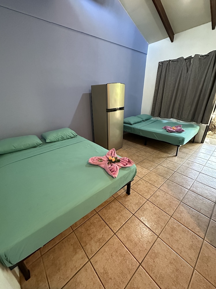 Basic Room photo 3