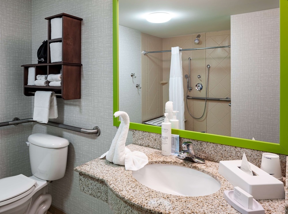 Studio Suite Handicap Accessible Roll-In Shower, 1 King Bed with Sofa Bed, Non Smoking - Photo 4