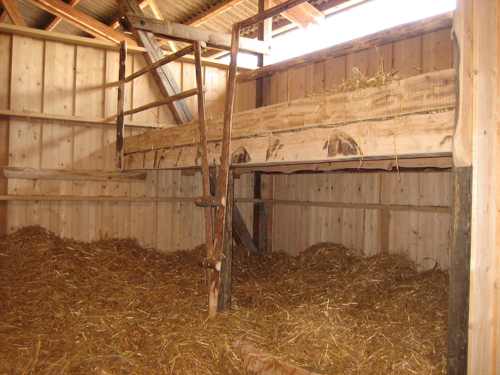 Shared Dormitory, Mixed Dorm (20 Bed Sleep on Straw) photo 1