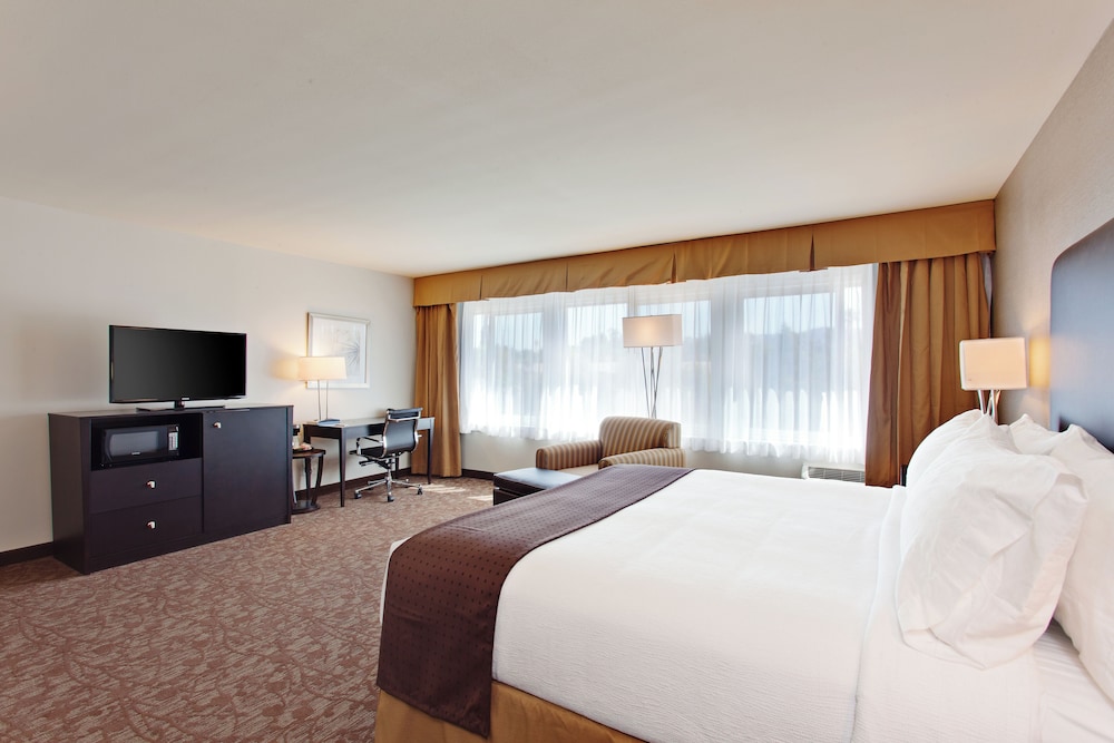 Suite, 1 King Bed - Photo 1