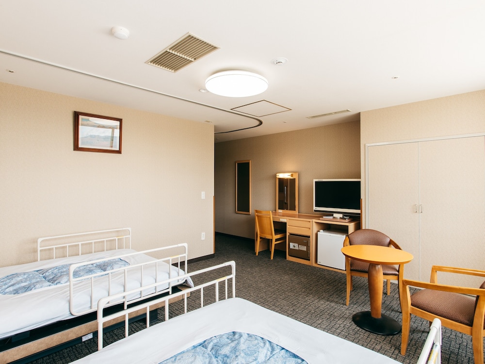 Accessible Room (With Bath) Non Smoking photo 3