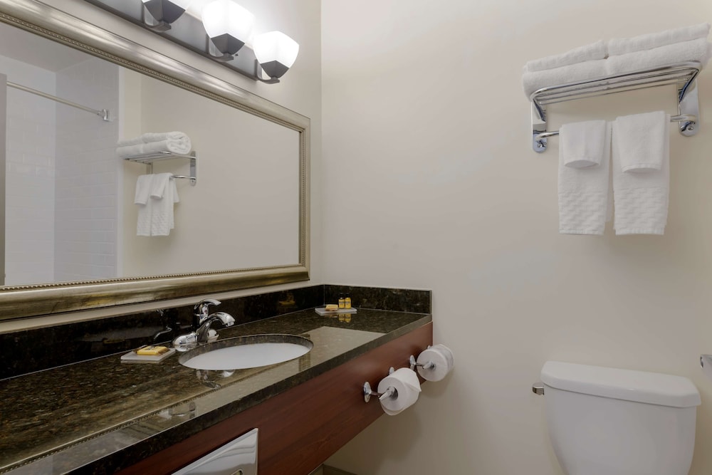 Standard Room, 1 King Bed, Refrigerator & Microwave, Lake View (Pet Friendly) - Photo 7