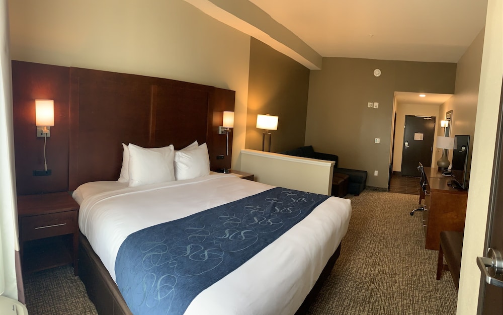 Studio Suite, 1 King Bed with Sofa bed, Accessible, Non Smoking - Photo 2