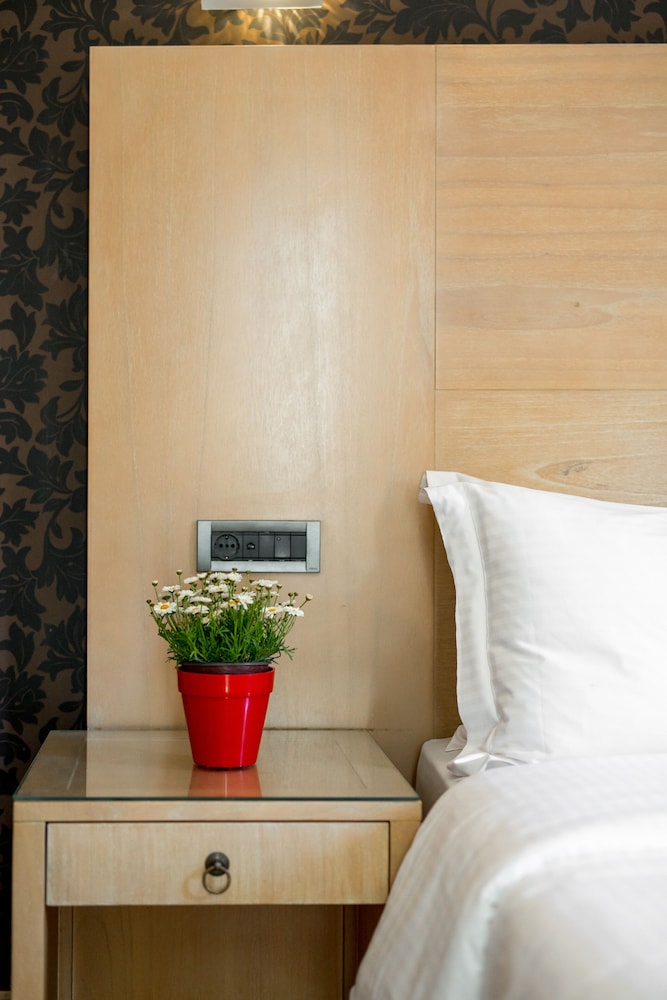 Single Room photo 2