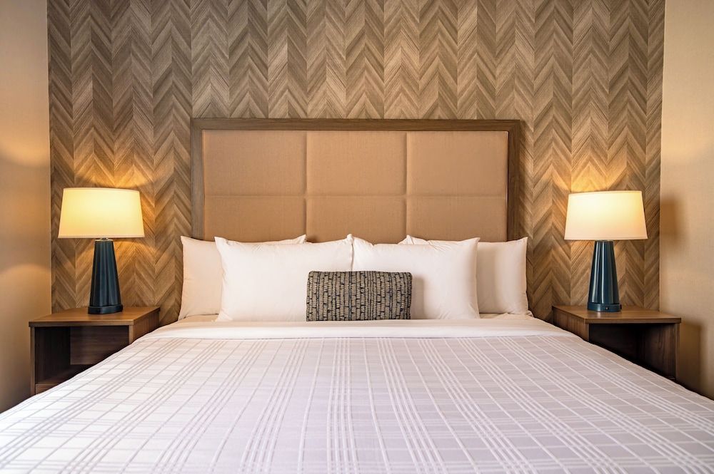 Deluxe Studio Suite, 1 King Bed with Sofa bed, Kitchen photo 3
